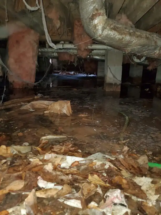 Crawl space flood assessment for Leak Detection & Repair in Westlake